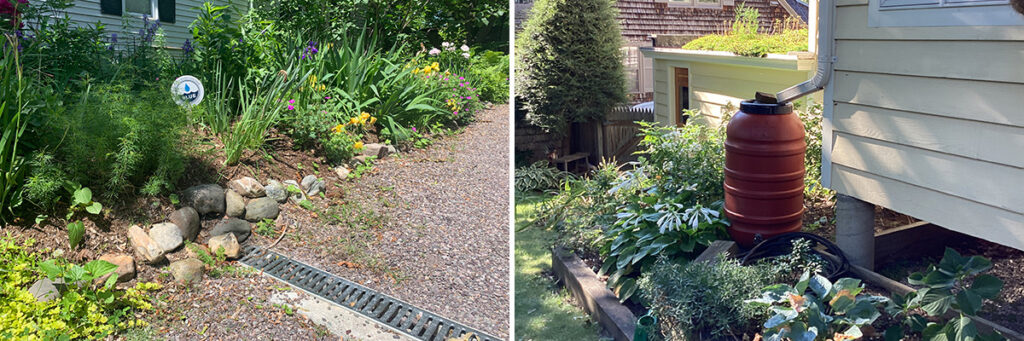 Lake Champlain Sea Grant is Hiring a Land Use and Water Quality Educator