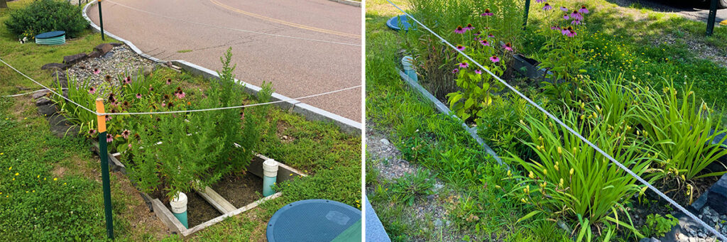 Making Green Stormwater Infrastructure Greener