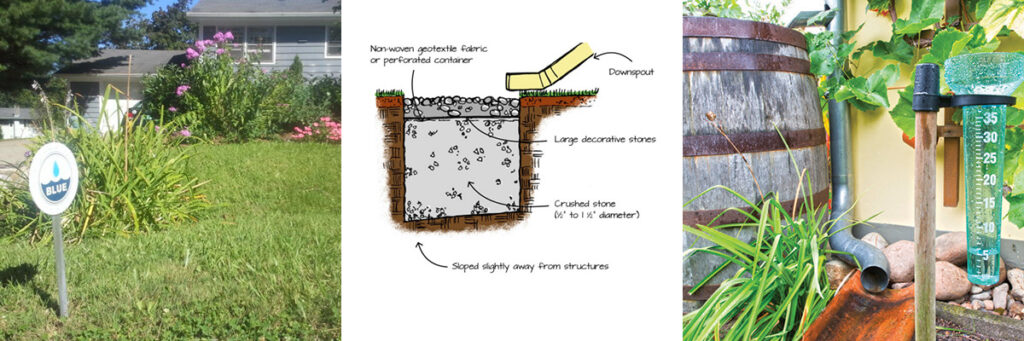 Go BLUE! Free Stormwater Consultation for Burlington Residents