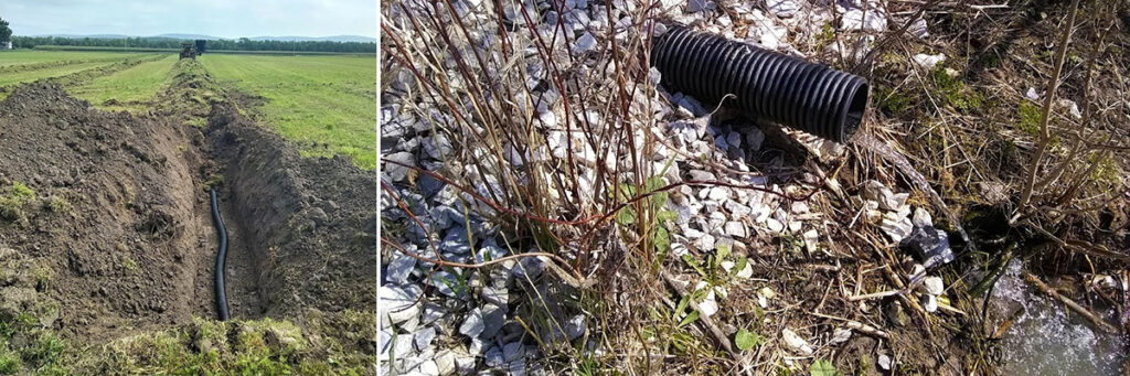 Climate Change Can Increase Phosphorus Loss From Tile Drains in Farm Fields