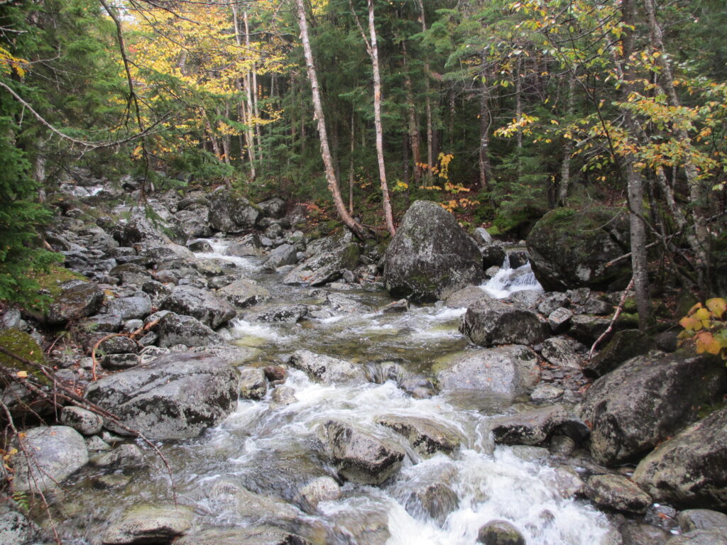 Training for Educators