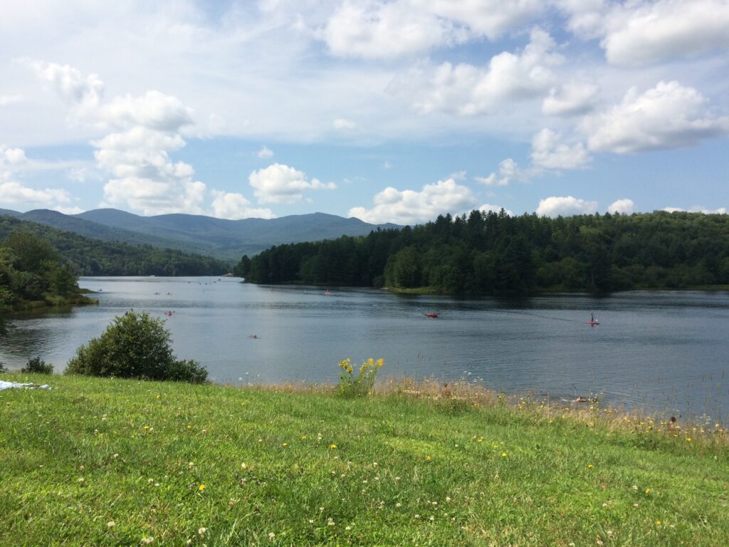 Wetlands: Our Unsung Heroes