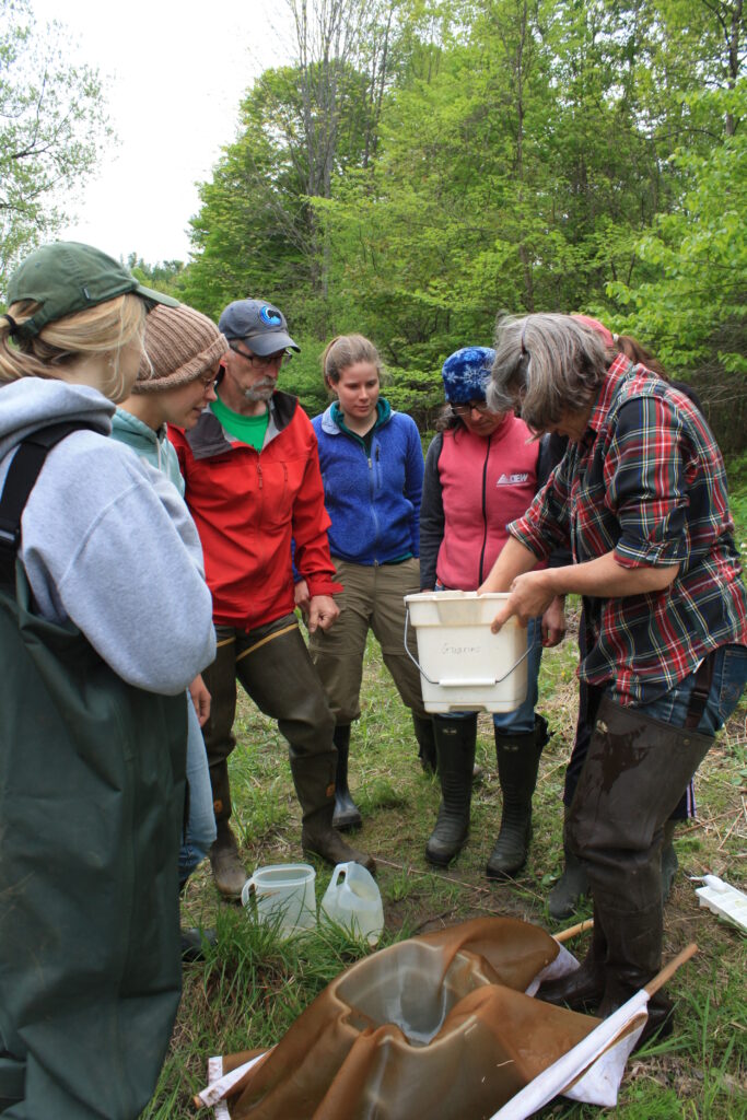 Bottoms-Up Teacher Training