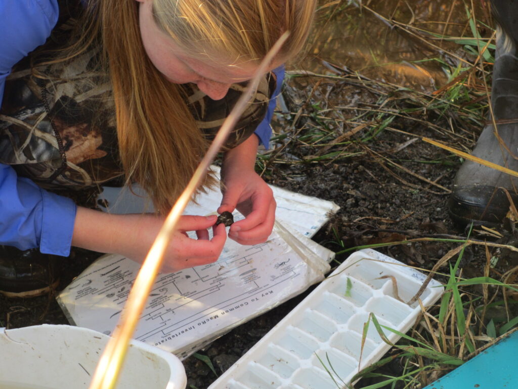 Middle School Students Collect Stream Data with UVM Watershed Alliance and Develop Outreach Projects to Share with the Community