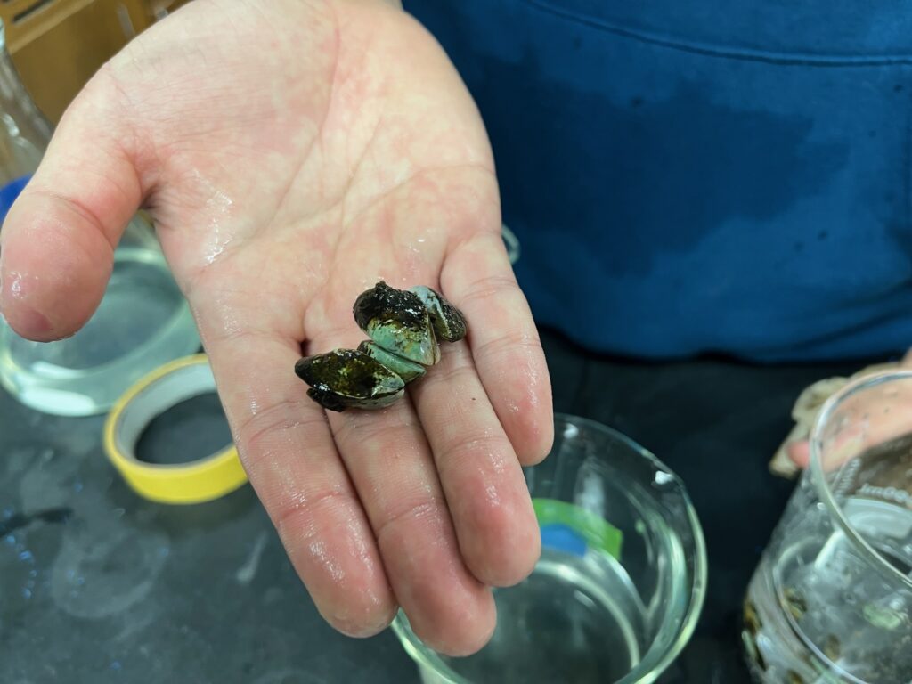 LCSGs WATR Course Connects Teachers and Students to Award Winning Research