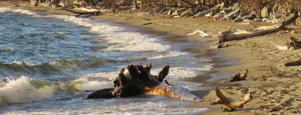 Request for Research Proposals – National Coastal Resilience Fund