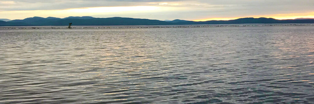 Researchers Seek Help From Lake Champlain Anglers