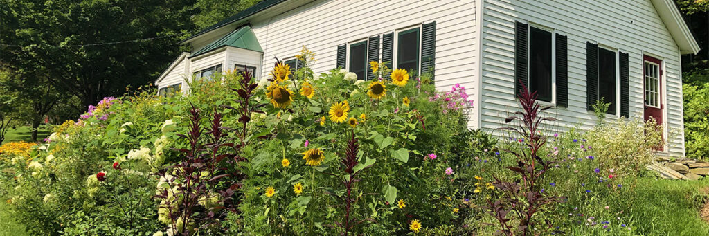 Learn Ways to Protect Water Quality Around Your Home