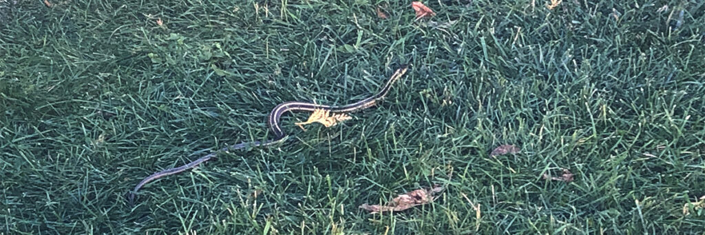 Mo Monday: Addressing Barriers