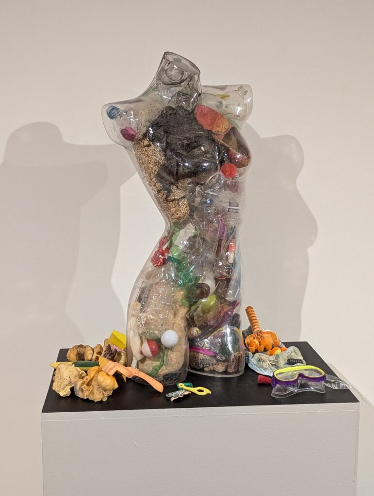 Using Art to Tackle Plastic Pollution in Lake Champlain