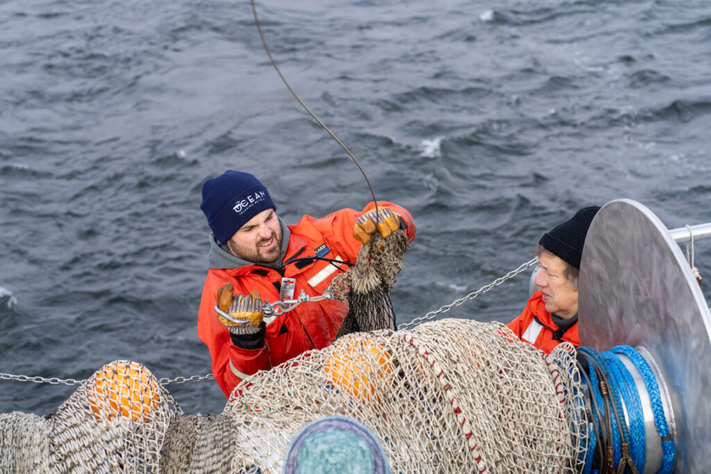 Five New Research Projects Kick Off This Summer