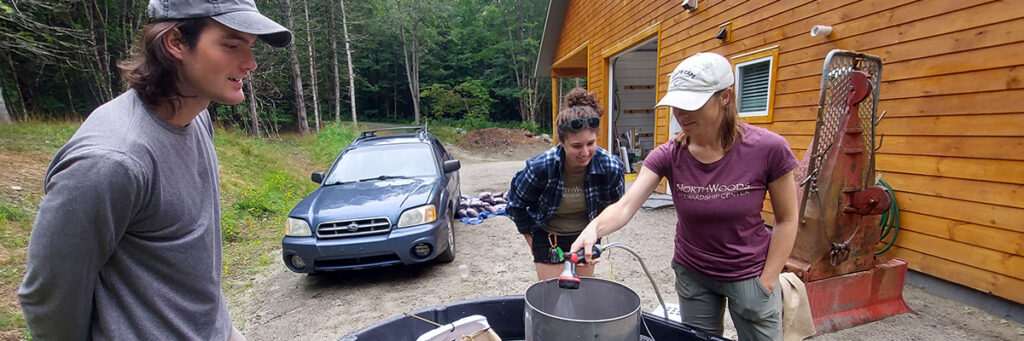 Replanting From Seed