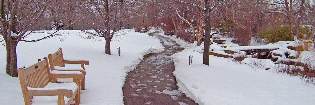 Water You Know About Road Salt