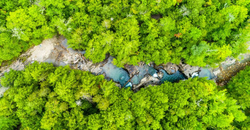 Call for Northern Forest Research Proposals Includes Water Topics