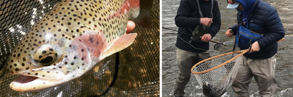 Fishing in Lake Champlain? Researchers Encourage Anglers to Learn Which Fish Are Safe to Eat Fishing in Lake Champlain? Researchers Encourage Anglers to Learn Which Fish Are Safe to Eat