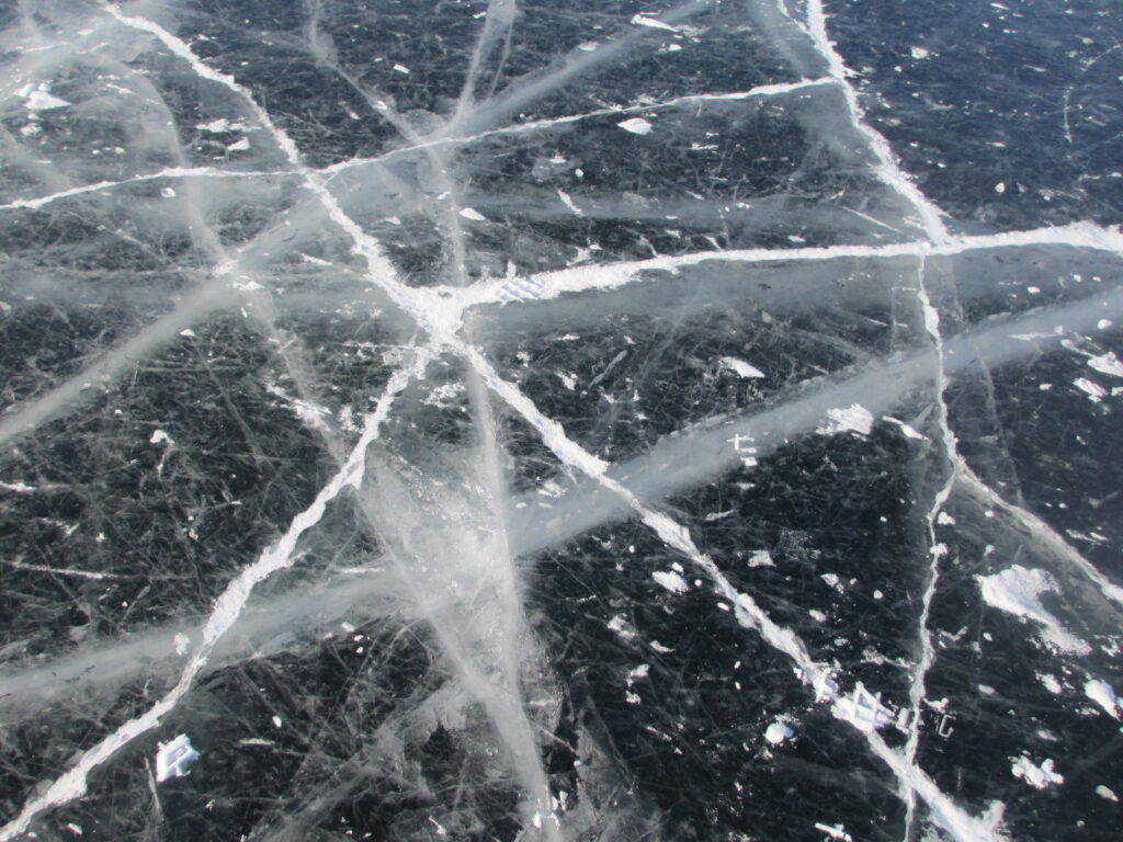 LCSG Announces Spring Research Webinar Series — Register Today