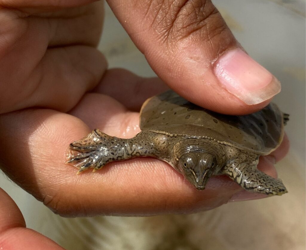 Lake Champlain Sea Grant Announces 2026 Funded Research Projects