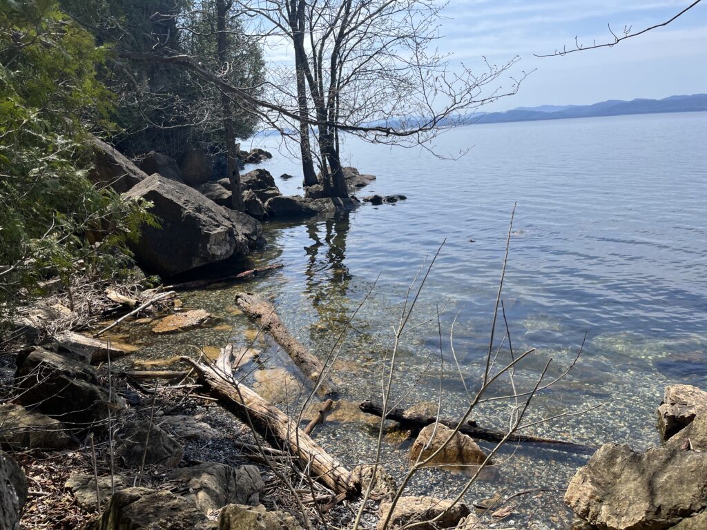 Protected: Turning Tides, Turning Seasons: Spring