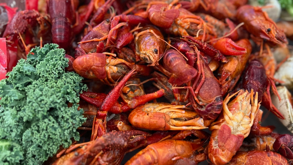 From Seafood Scraps to Sustainable Solutions: UVM Student Studies Seafood Preferences and Byproduct Reuse 