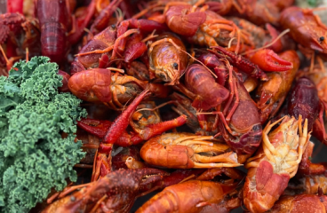Pile of seafood