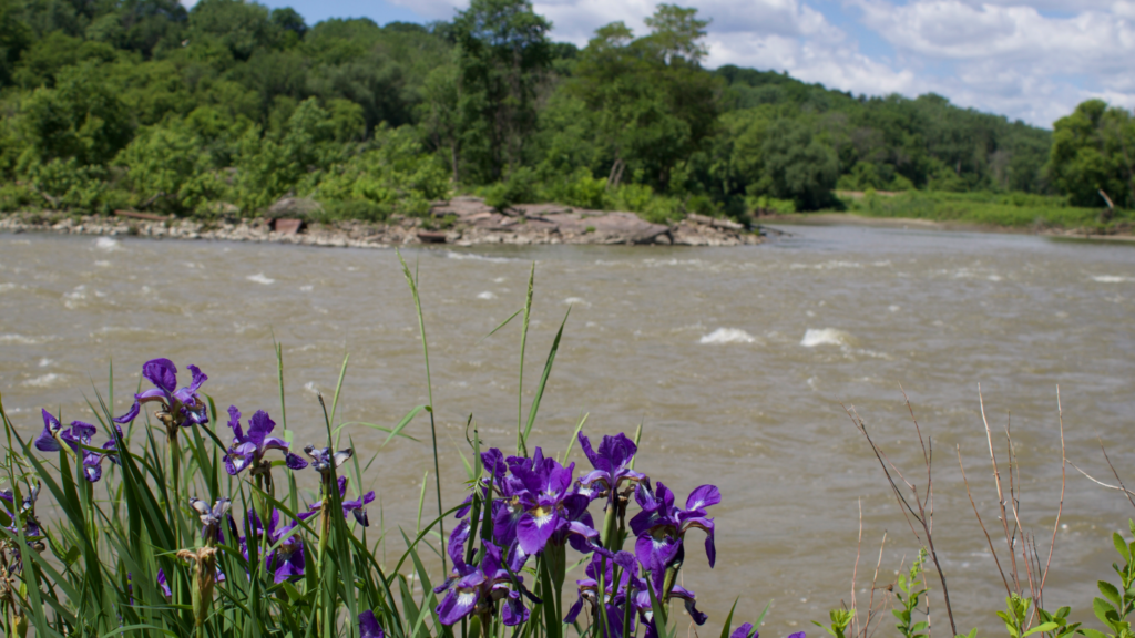 Making Waves: Summer 2026 with Lake Champlain Sea Grant Making Waves: Summer 2026 with Lake Champlain Sea Grant