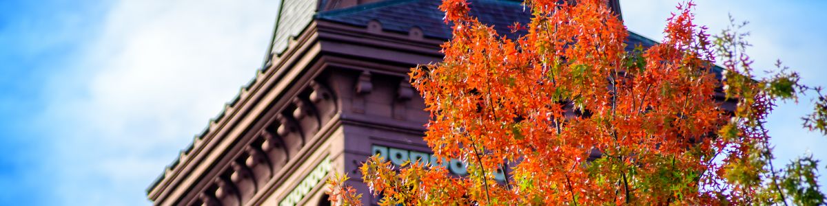 Fall Colors by Old Mill