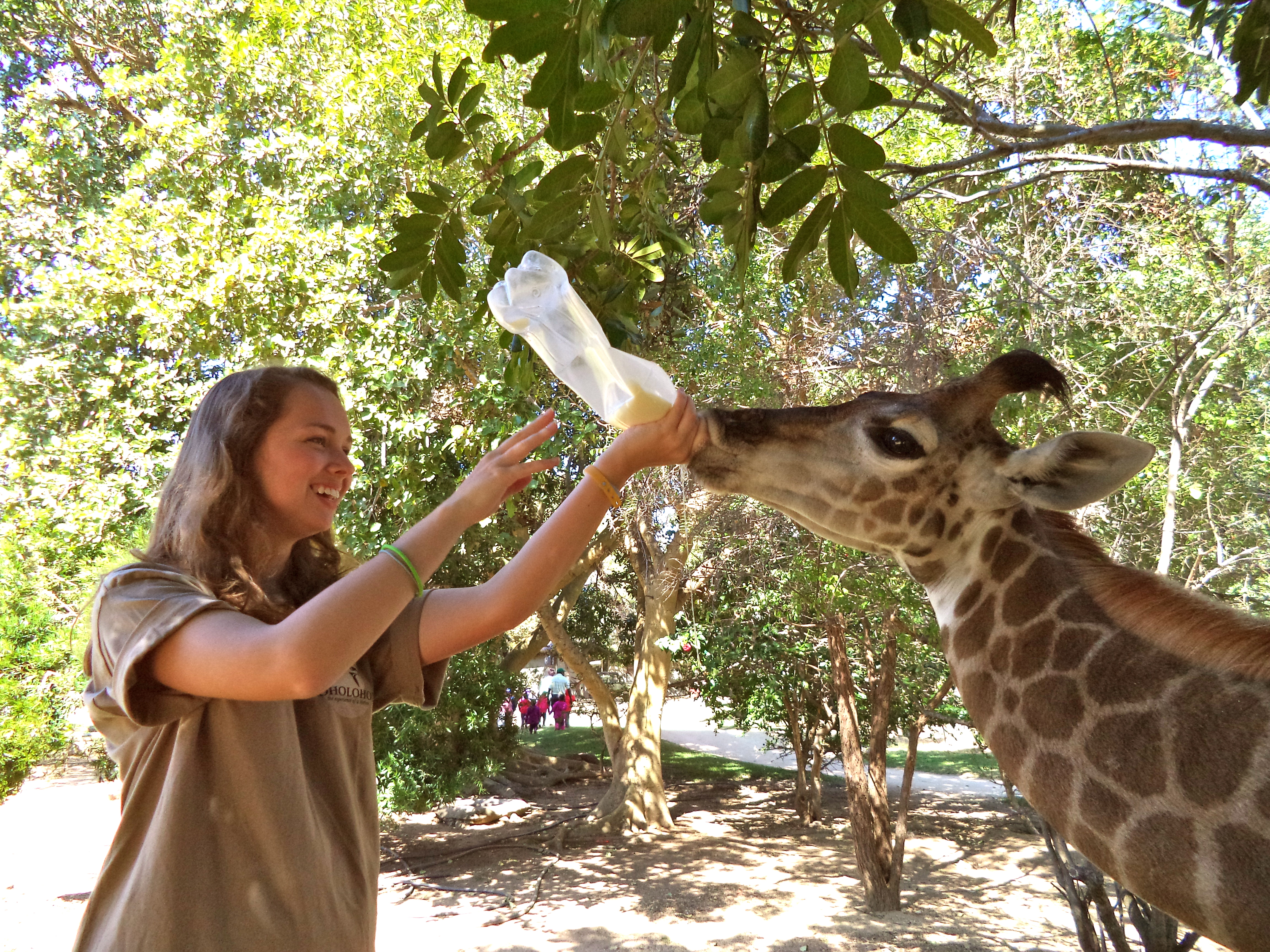 Careers | Department of Animal and Veterinary Sciences | The University of Vermont