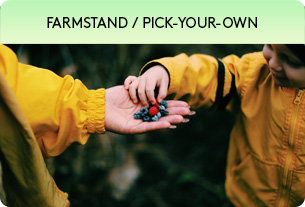 farmstand / pick-your-own