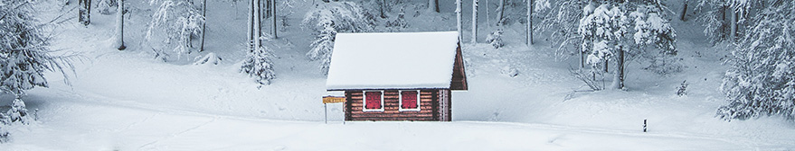 Cabin in the snow