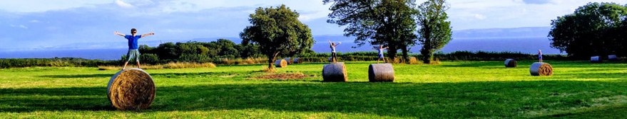 Kids on hay