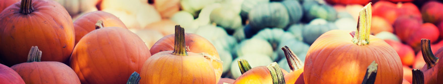 Pumpkins for sale