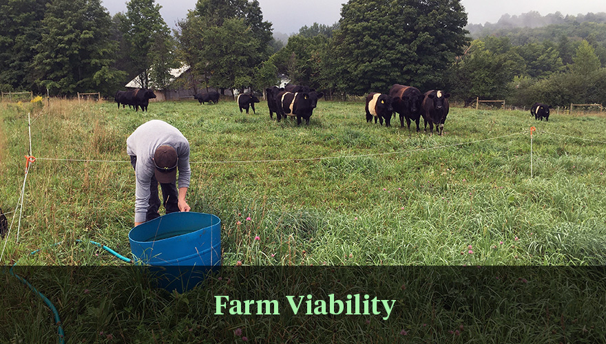 Farm Viability