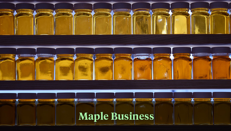 Maple Business