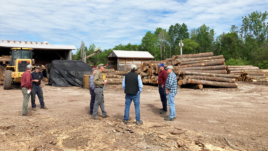 foresters