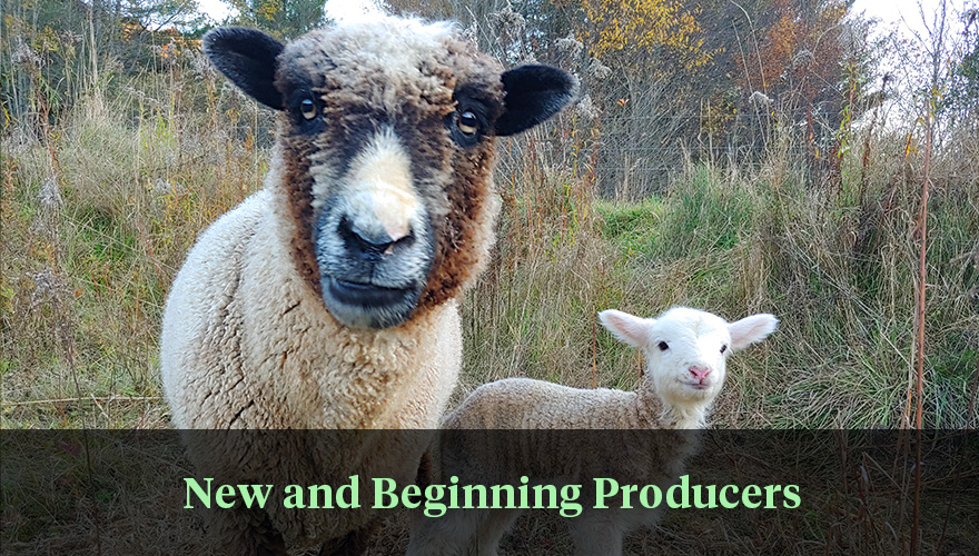 new and beginning producers