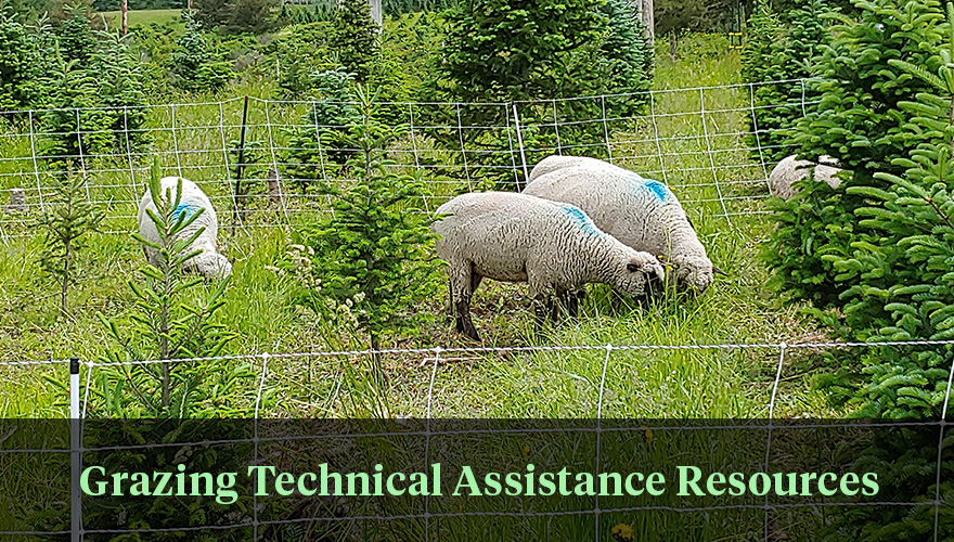 Grazing Technical Assistance Resources