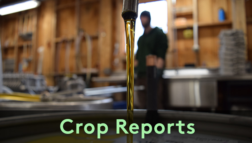 Crop Reports