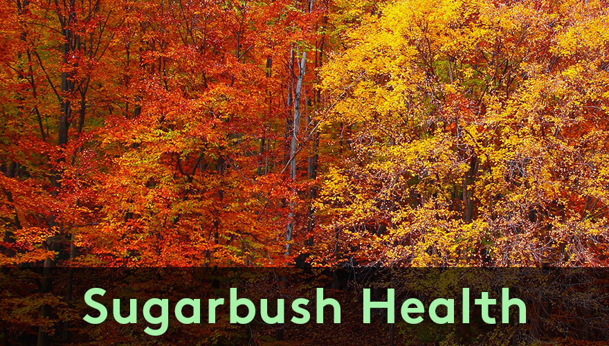 Sugarbush Health