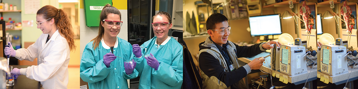 BME Students in lab