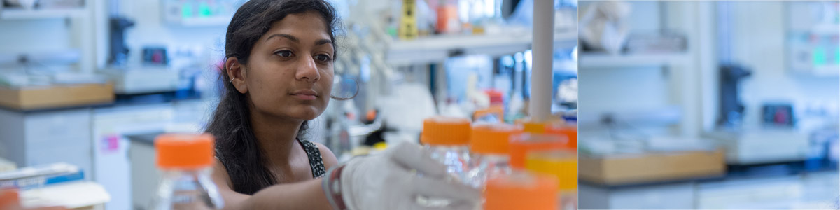 Patel working in a laboratory at UVM