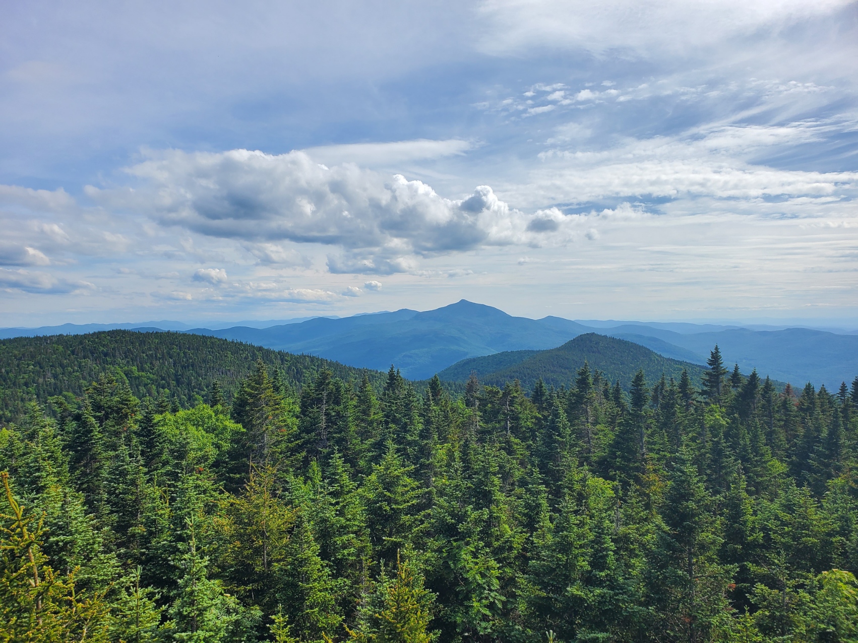 A photo of the Adirondacks from the top of a fire tower.