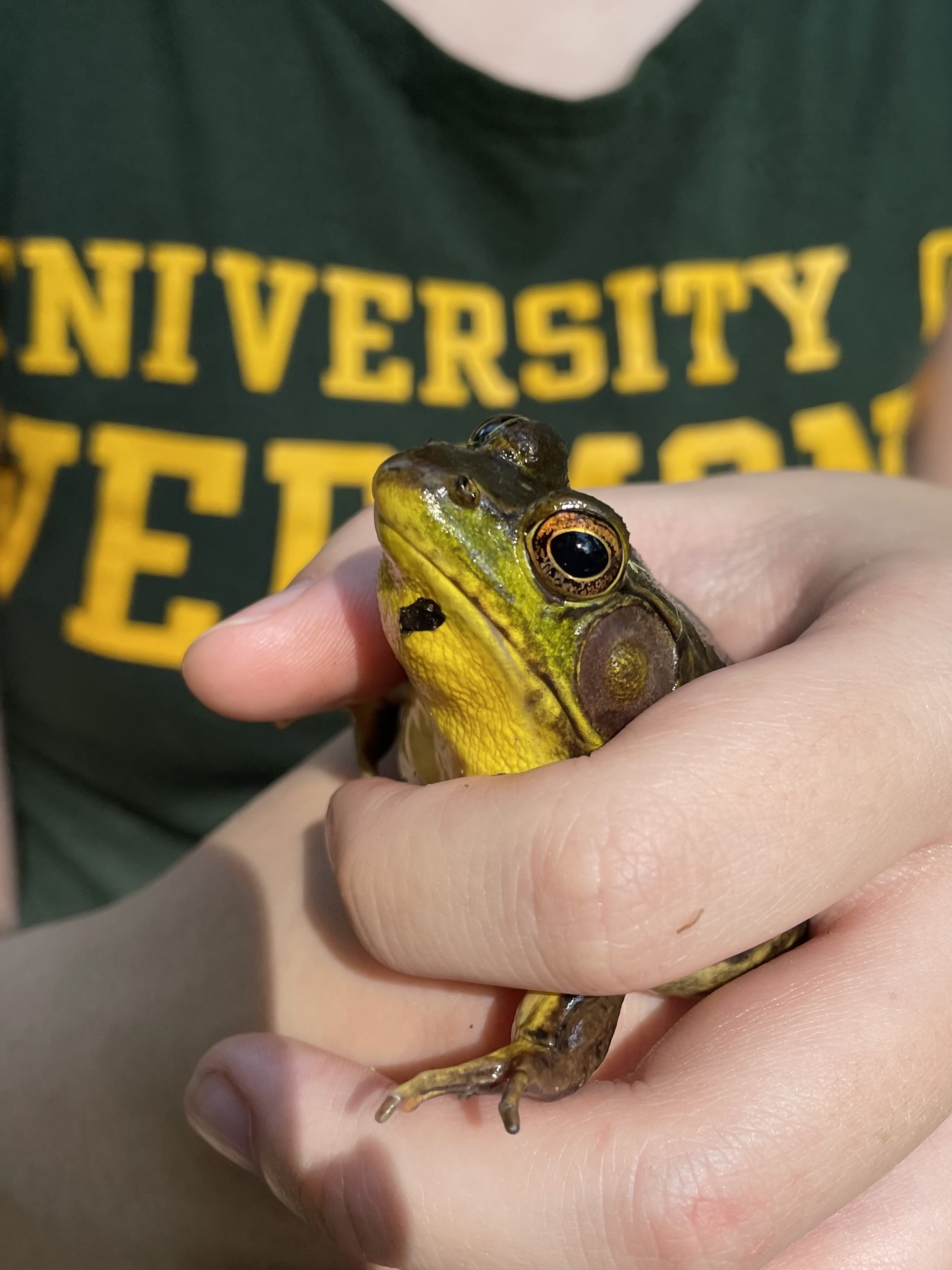 Ela Green holding a frog up close.