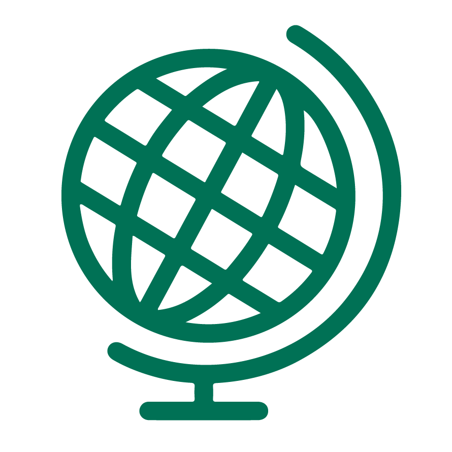 Globe icon