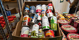 box of food in Rally Cat's Cupboard