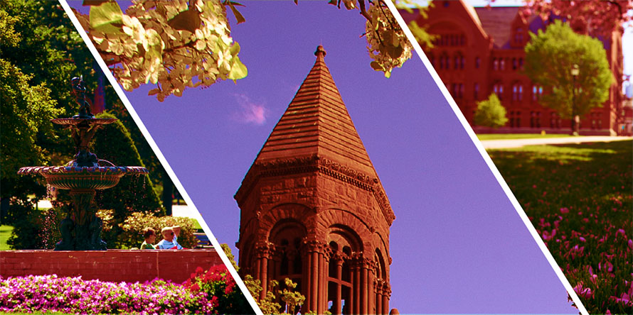 uvm