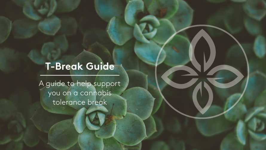 T-Break: Take a Cannabis Tolerance Break
