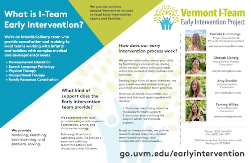 Thumbnail of a fact sheet for the Vermont Continence Project