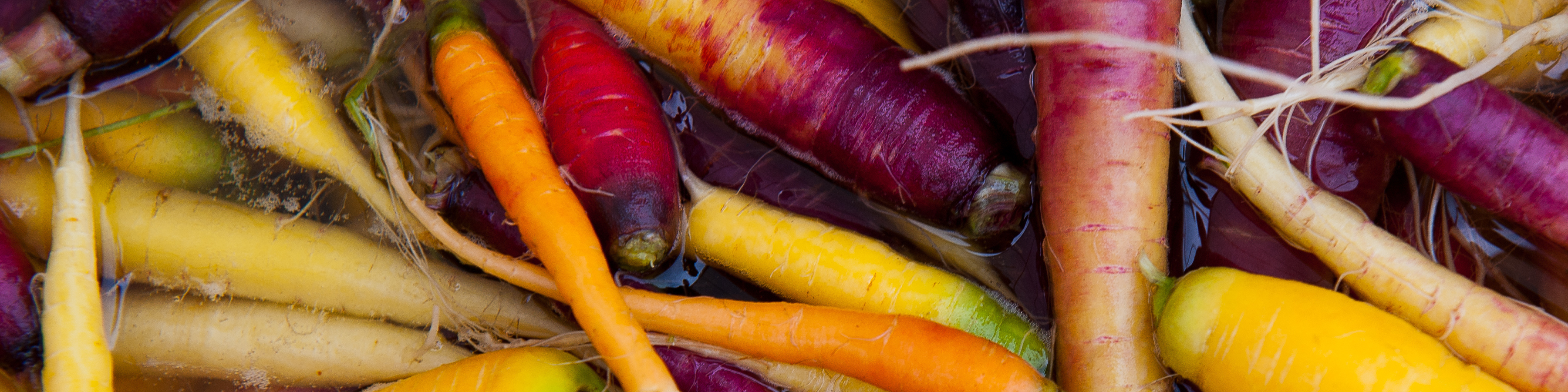 carrots 