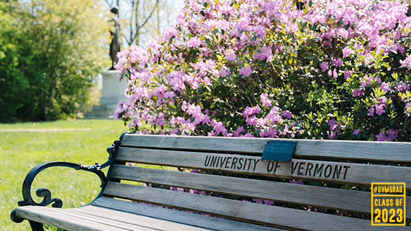 wooden bench that says university of vermont with statue in background