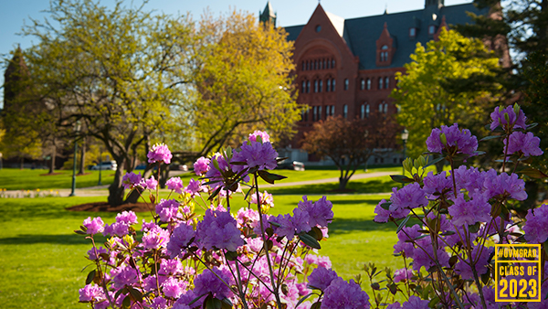 blossoming flowers in front of williams hall on the uvm green